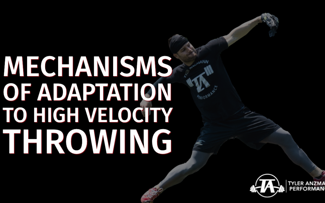 Mechanisms of Adaptation to High Velocity Throwing