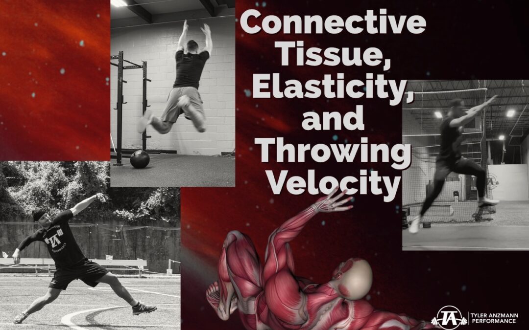 Connective Tissue, Elasticity, and Throwing Velocity