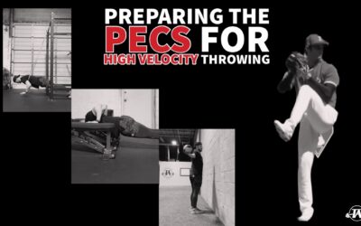 Preparing the Pecs for High Velocity Throwing